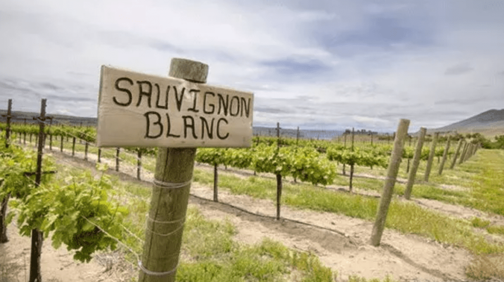 Screen Shot 2020-01-18 at 9.26.38 pm