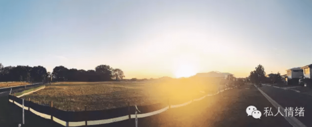 Screen Shot 2020-02-15 at 3.08.48 pm