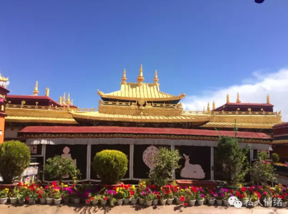 Screen Shot 2020-02-15 at 3.17.00 pm