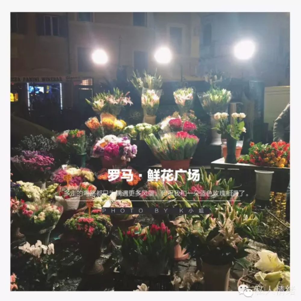 Screen Shot 2020-02-15 at 3.18.36 pm