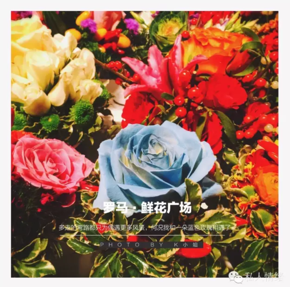 Screen Shot 2020-02-15 at 3.18.50 pm