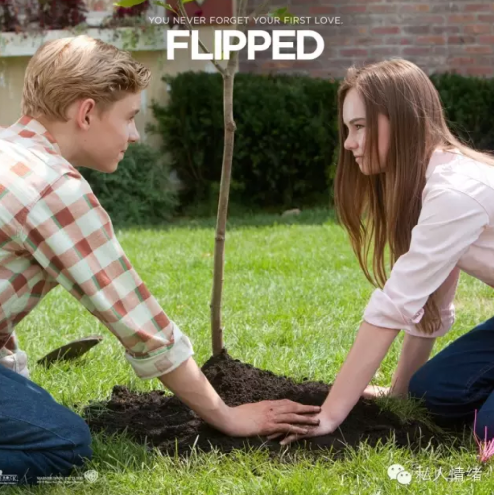 Screen Shot 2020-02-15 at 3.19.46 pm