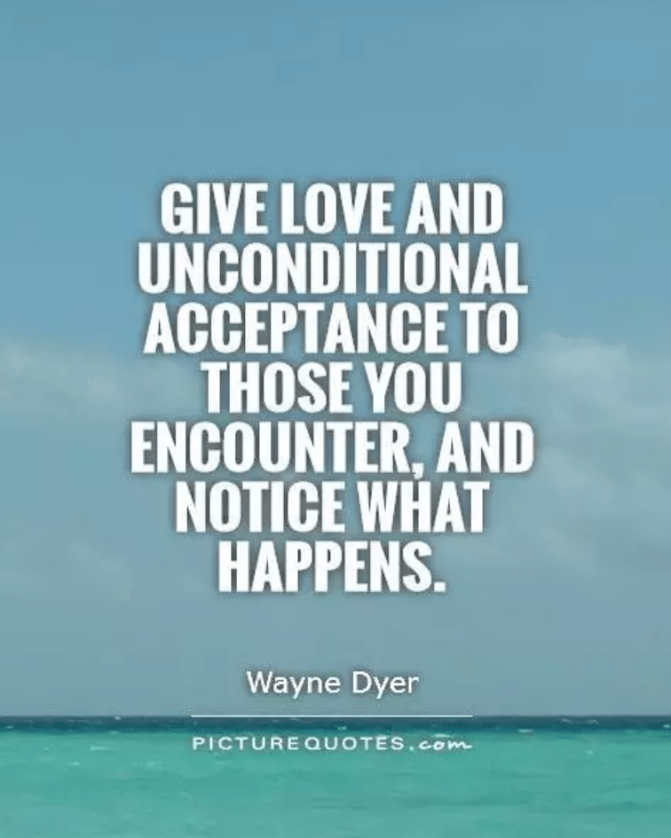 Screen Shot 2020-02-15 at 3.19.59 pm