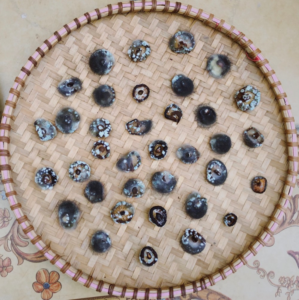 Processed with VSCO with fp2 preset